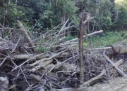 Pemdes Mayayap Keluhkan Limbah Penebangan Liar Menutup Aliran Sungai