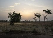 Tersangka militan Boko Haram membunuh setidaknya 13 di Kamerun