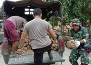 Sinergitas TNI – Polri: Gotongroyong Angkut Material Pembangunan Rumah Korban Banjir