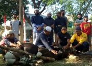 Rayakan Idul Adha 1441 H, Polres Takalar Sembelih 18 Ekor Hewan Qurban