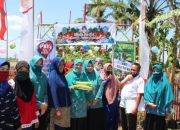 Nilai Lomba KWT, Ketua TP PKK Takalar: KWT Harus Maju dan Berkembang