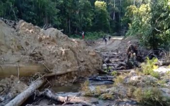Parah, Sungai Induk dan Anak Sungai Lereng Tompotika di Bendung Untuk Jalan Perusahaan Pengolahan Kayu