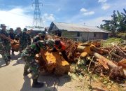 PLETON PBA (PENANGGULANGAN BENCANA ALAM) YONIF 8 MARINIR DENGAN SIGAP BERGERAK MEMBANTU WARGA DESA PAYAMALA BERSIHKAN POHON YANG TUMBANG