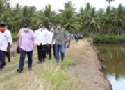 Dirjen Perikanan Budi daya KKP Dorong Sektor Perikanan Buol Merambah Pasar Nasional