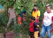 Bersama Warga, Bhabinkamtibmas Polsek Sinjai Timur Berburu Hama Babi
