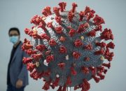 China menemukan virus corona pada kemasan daging sapi Brasil