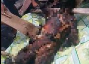 Lelaki Paruh Baya Tewas Terbakar Bersama Bangunan Rumahnya