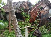 Warga Bunta  Meninggal Tertimpa Pohon Kelapa
