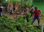 Respon Cepat, Personel Polsek Mapsu Singkirkan Pohon Tumbang