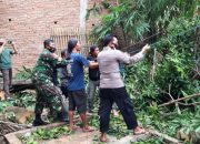 Babinsa Bontokassi Bantu Warga Yang Terkena Dampak Pohon Tumbang