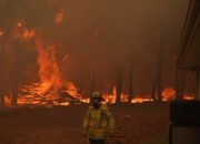 71 rumah hancur saat kebakaran hutan Australia mengamuk di dekat kota Perth yang terkunci