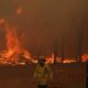 71 rumah hancur saat kebakaran hutan Australia mengamuk di dekat kota Perth yang terkunci