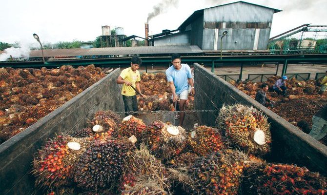 Indonesia, Malaysia mengadakan pembicaraan untuk melawan bias minyak sawit