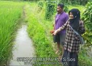 Video: Ketua DPRD Buol Kunker ke Tambak Ikan Air Tawar