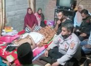 Merana Karena Hama Tikus Menggerogoti Tanaman jagung, Burhanuddin Akhiri Hidupnya