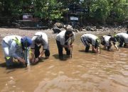 Tingkatkan Tanggung Jawab Sosial, TJSL Jasa Raharja Cab. Sulut Gelar Beach Clean Up dan Penanaman 500 Mangrove