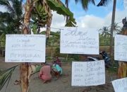 Tuntut Janji Bupati Lotim, Ratusan  Warga Denggen Tanam Pisang Sepanjang Jalan