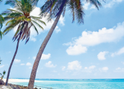 Pulau-pulau berpenduduk mayoritas Muslim di India melarang makanan sekolah bebas daging