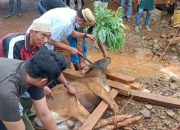 10 Ekor Hewan Kurban di Salurkan PT. Tiran Group di Konut