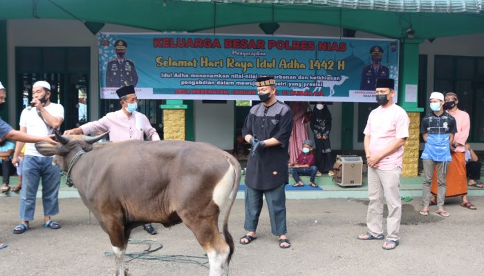 POLRES NIAS SEMBELIH HEWAN QURBAN PADA HARI RAYA IDUL ADHA 1442 H / 2021