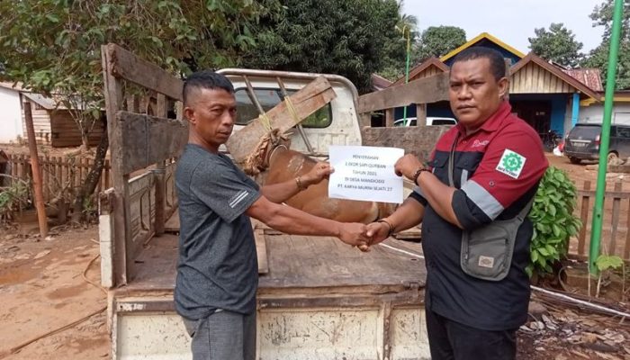 Jadi Agenda Rutin Tahunan, PT KMS 27 Kembali Berbagi Hewan Kurban