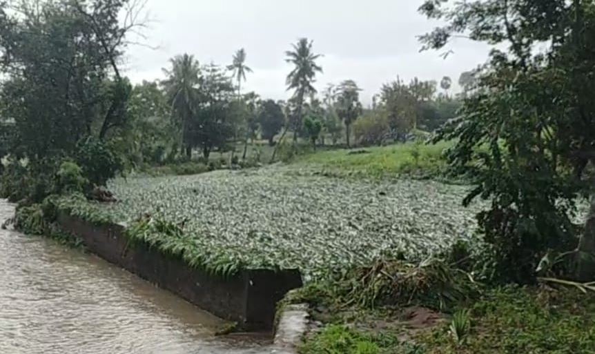 Banjir Bandang di Jeneponto Merusak Ribuan Hektar Lahan Pertanian Milik Warga