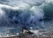 Gempa Magnitudo 8,7 dan Tsunami 29 Meter di Pantai Selatan Jawa Timur adalah Potensi bukan Prediksi : BMKG