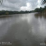 Akibat Luapan Air Sungai Manyampa, Puluhan Hektar Lahan Pertanian Warga Terancam Gagal Panen