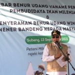Pembudidaya Ikan Milenial Mulai Budi Daya Udang Vaname