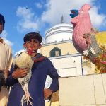Di Pakistan selatan, Sebuah kuil tempat para penyembah menghormati ‘ayam jago’