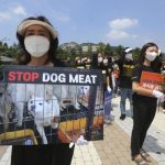 Korea Selatan akan meluncurkan gugus tugas pelarangan konsumsi daging anjing