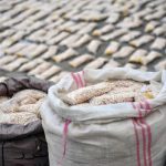 Suriah sita narkoba berbasis amfetamin menuju Arab Saudi