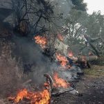 Panglima militer India, 12 lainnya tewas dalam kecelakaan helikopter