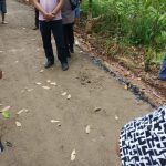 Kades Ononamolo I Botomuzoi diduga Tuding Oknum Masyrakatnya Rusak bangunan desa tanpa dasar