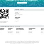 Kemenkes Terbitkan Sertifikat Vaksin Internasional sesuai Standar WHO, Ini Tujuannya