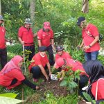 Wujud Rasa Syukur saat HUT Partai dan Ibu Mega, PDIP NTB Tanam 11.000 Pohon  