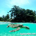 Harga Kamar Terjangkau, Gili Asahan Eco Lodge Siap Menerima Tamu MotoGP