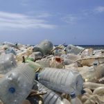 Survei Global, 75 Persen orang ingin plastik sekali pakai dilarang