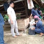 Dinas Pertanian Agam Laksanakan Pengobatan Ternak Masal di Nagari Kampung Pinang 