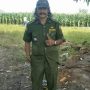 3 Rumah Warganya Ludes Terbakar Api, Kepala Desa Tanammawang Harapkan Bantuan Pemerintah Daerah
