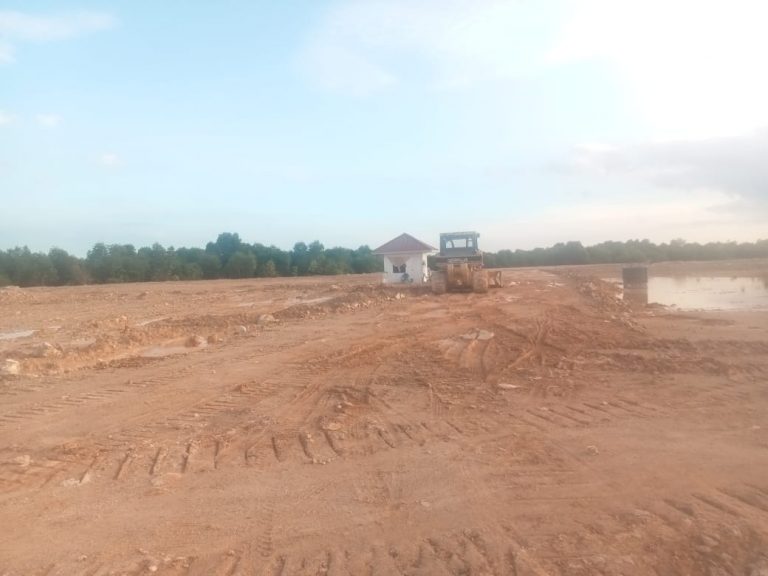Hutan Bakau Dibabat Dan Ditimbun Habis Untuk Jadikan Lahan Perumahan Di Sagulung