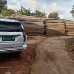 Kebal Hukum, Gudang Kayu Ilegal Masih Beroperasi Hingga Sekarang