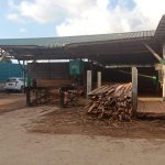 Kebal Hukum, Gudang Kayu Yang Beroperasi Ilegal Masih Beroperasi Hingga Sekarang