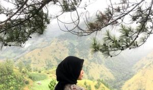 Pengaruh Keanekaragaman Kelembagaan Serta Implikasi Bagi Seleksi dan Pengembangan Kemajuan Ekonomi dan Teknologi