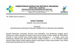 Kemenkes Minta Sektor Kesehatan Waspadai Monkeypox