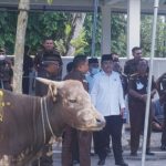 Momen Hari Raya Idul Adha, KEJATI Sultra Berbagi Daging Sapi Qurban Ke Masyarakat