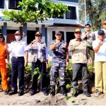 Greendbelt Tsunami, BPBD KLU Tanam 1000 Waru Laut di Sepadan Pantai Lombok Utara