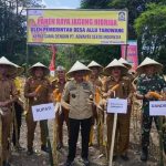 Bersama Petani, Bupati Jeneponto Panen Jagung Di Desa Allu Tarowang