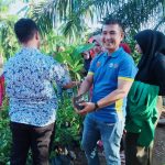 Luar Biasa KNPI Agam Sumbar Bagikan 10 Ribu Pohon Kepada Masyarakat Jorong Sikabu Nagari Kampung Tangah Lubuk Basung.
