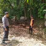 Bhabinkamtibmas Nagari Kampung Pinang Polsek Lubuk Basung Polres Agam Laksanakan Sambang Kamtibmas dan Monitoring.
